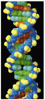 DNA_image