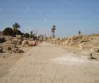 Mute temple and the avenue of Sphinxes