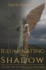 Illuminating the Shadow by David Furlong
