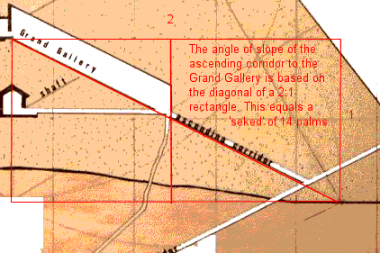 Sekeds of the Grand Gallery